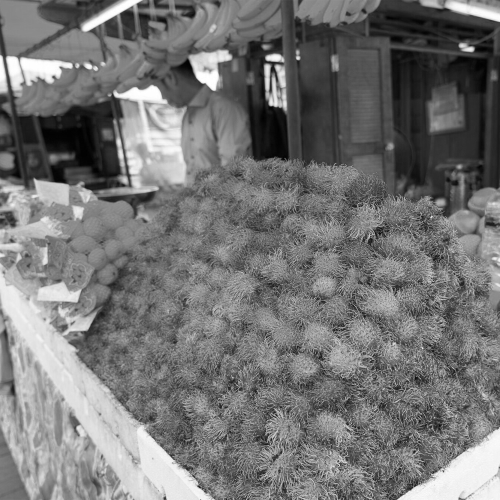 Intecura AG - Tropical Fruits