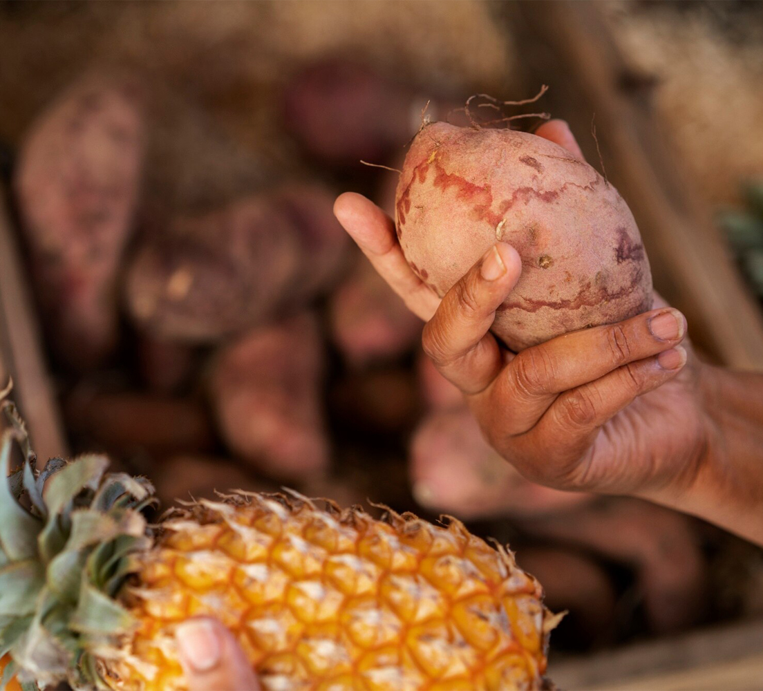 Intecura AG - Tropical Fruits