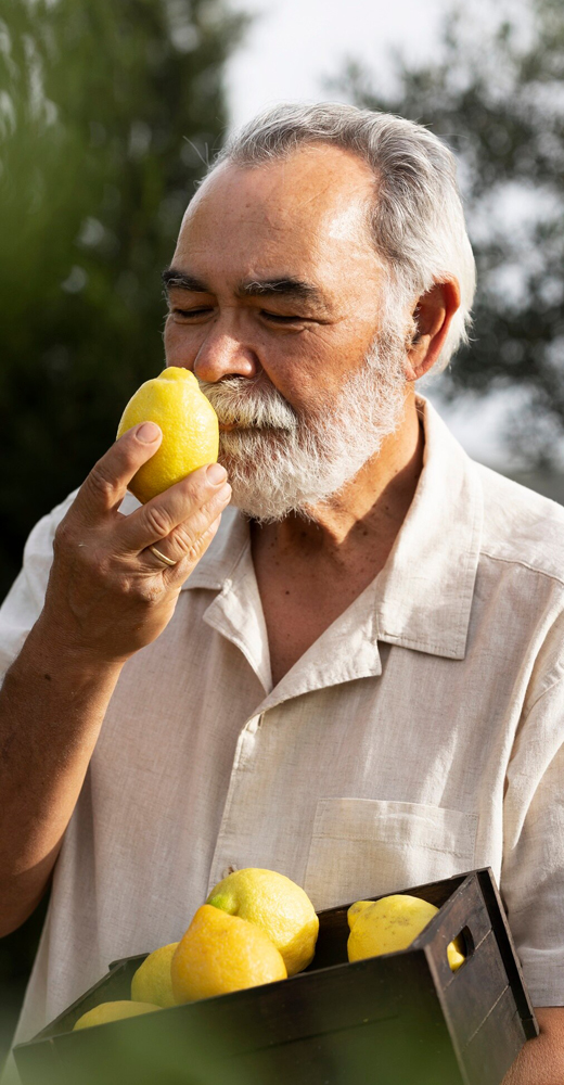 Intecura AG - Tropical Fruits